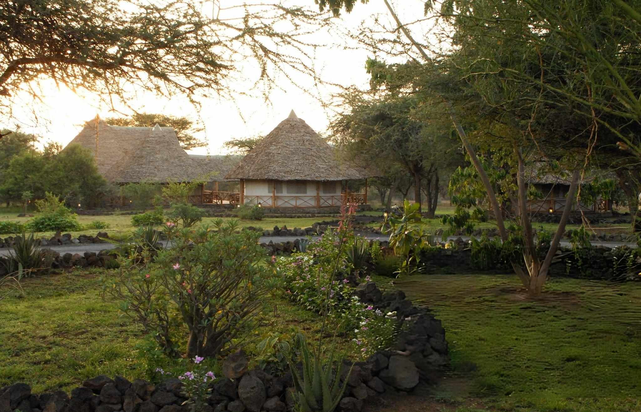 Tsavo