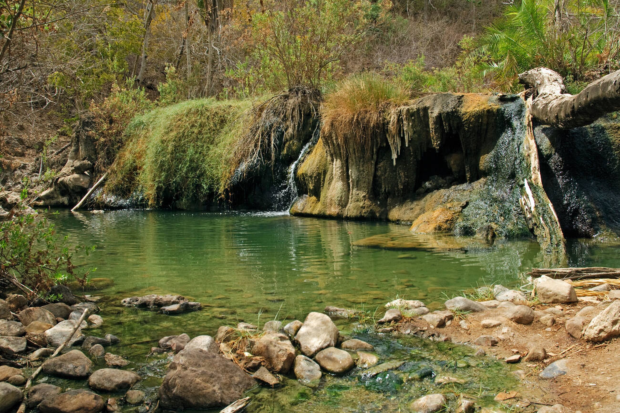 Selous Waterways
