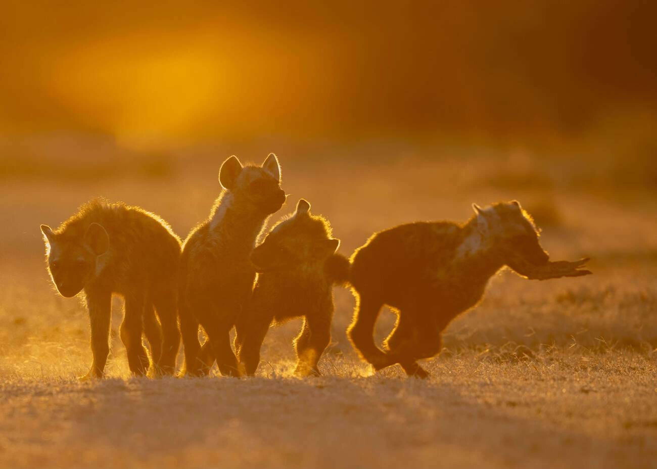 Hiking in Tanzania